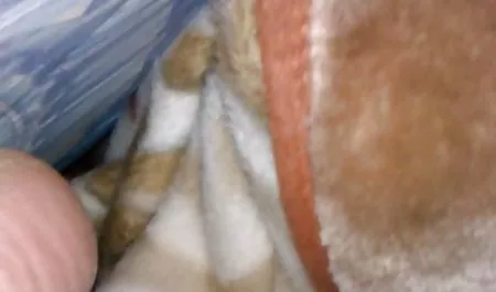 Las mujeres después de tener relaciones sexuales, tomar el muy viejas tetonas semen de los chicos en el cuerpo después del sexo anal