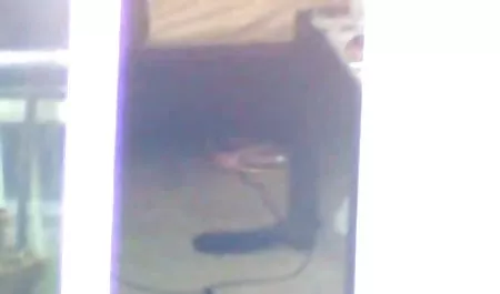 Flexible joven novia violada, principalmente en tetonas peludas las escaleras.