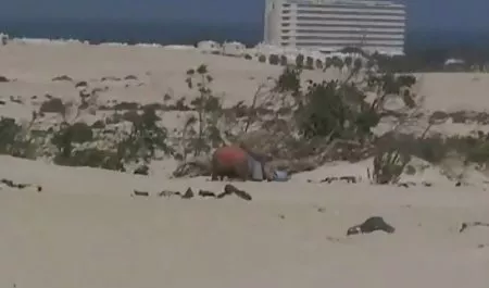 Experiencia de afeitado, maduras de tetas grandes naturales sexo con maduras madre